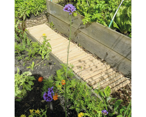Jardin avec plate-bande surélevée et chemin en bois