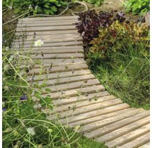 Chemin en bois dans le jardin parmi les plantes