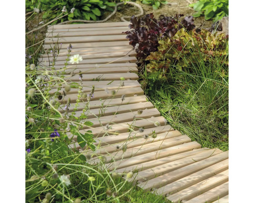 Chemin en bois dans le jardin parmi les plantes