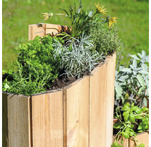 Holzkasten bepflanzt mit Kräutern