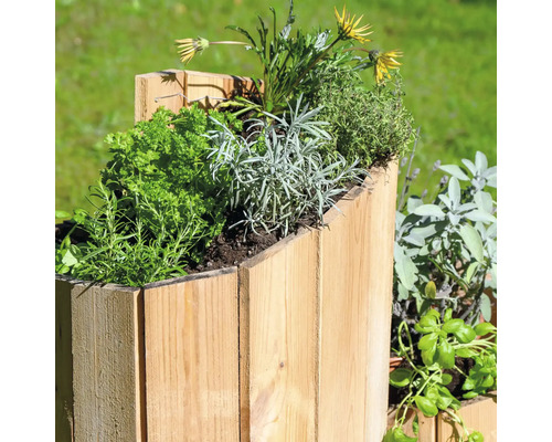 Holzkasten bepflanzt mit Kräutern