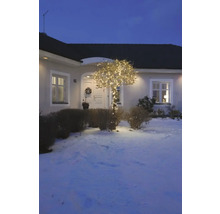 Un arbre décoré de lumières dans le jardin d''une maison en hiver
