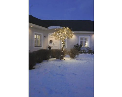 Un arbre décoré de lumières dans le jardin d''une maison en hiver