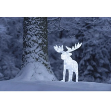 Beleuchteter Elch als Weihnachtsdekoration im verschneiten Garten