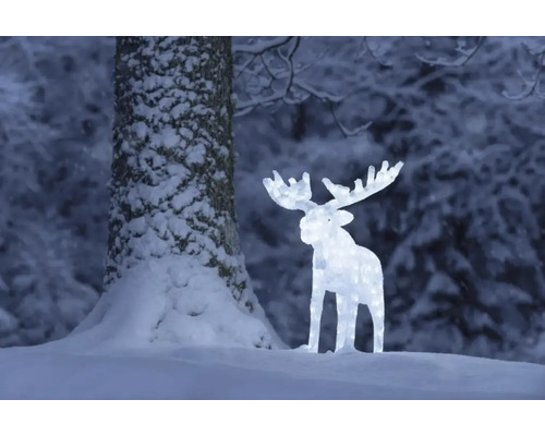 Beleuchteter Elch als Weihnachtsdekoration im verschneiten Garten