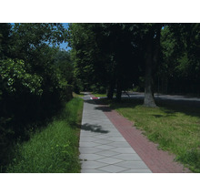 Szene einer Pflasterstrasse mit Bäumen und Grünflächen