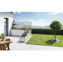 Jardin avec escalier de plates-bandes surélevées, pelouse et arbre
