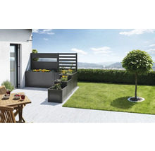 Jardinières étagées avec écran d''intimité et terrasse plantée