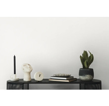 Scène décorative sur une étagère noire avec bougie, sculpture de tête, horloge, livres et plante d''intérieur.
