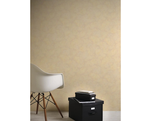 Exemple d''une pièce avec décoration murale