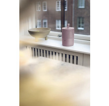 Dekoschale und Luftreiniger auf einem Fensterbrett
