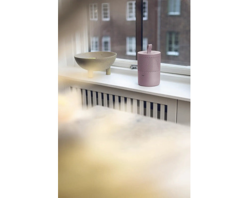 Dekoschale und Luftreiniger auf einem Fensterbrett