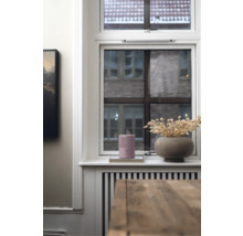 Innenraumansicht mit Fenster, Dekoration und Lautsprecher
