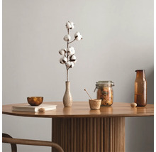 Nature morte décorative avec branche de coton dans un vase sur une table.