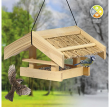 Mangeoire à oiseaux avec nourriture et oiseaux