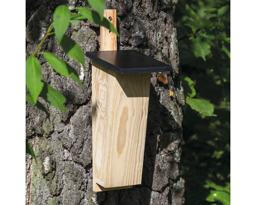 Holz-Fledermauskasten an einem Baumstamm befestigt