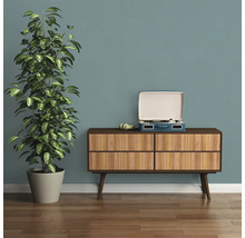 Scène d''intérieur avec commode, plante d''intérieur et tourne-disque.