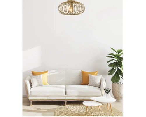 Wohnzimmer mit Deckenleuchte, Sofa, Kissen, Teppich, Couchtischen und Zimmerpflanze