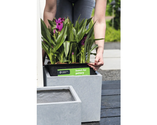 Une femme place un insert avec une plante dans une jardinière