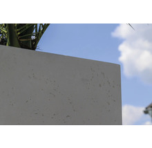 Beton Blumentopf mit Pflanze vor blauem Himmel