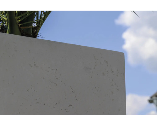 Pot de fleurs en béton avec plante sur fond de ciel bleu