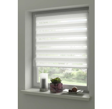 Fenster mit modernem, weissem Duo Rollo zur Lichtregulierung und Dekoration