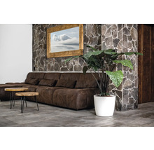 Salon avec canapé marron, tables en bois et plante d'intérieur dans un pot blanc devant un mur en pierre