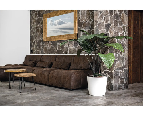 Salon avec canapé marron, tables en bois et plante d'intérieur dans un pot blanc devant un mur en pierre