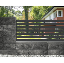 Vue de jardin avec clôture en béton et métal