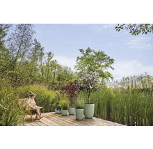 Szene im Garten mit einer Frau auf einem Stuhl und verschiedenen bepflanzten Blumentöpfen auf einer Holzterrasse