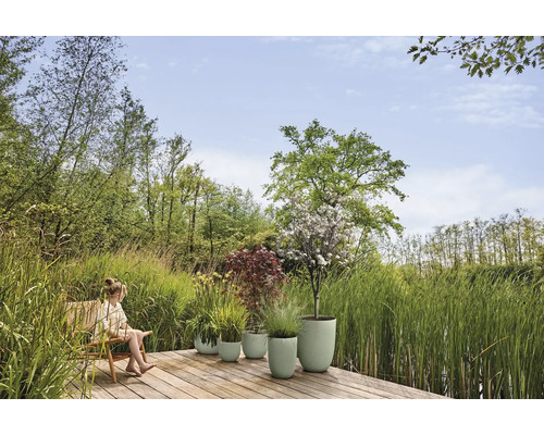 Szene im Garten mit einer Frau auf einem Stuhl und verschiedenen bepflanzten Blumentöpfen auf einer Holzterrasse