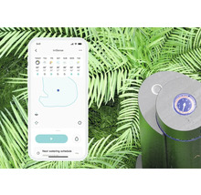 Smartphone mit geöffneter IrriSense-App neben einer Bewässerungsanlage im Garten.