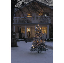 Sapin de Noël décoré dans le jardin enneigé d''une maison.