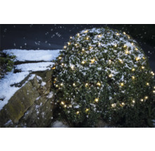 Buisson enneigé avec guirlande lumineuse à côté d''un mur en pierre