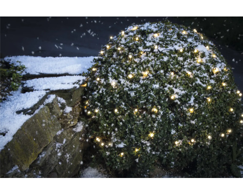 Buisson enneigé avec guirlande lumineuse à côté d''un mur en pierre