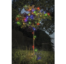 Un arbre est décoré d''une guirlande lumineuse multicolore.