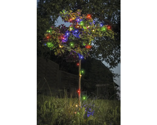 Un arbre est décoré d''une guirlande lumineuse multicolore.