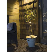 Olivier décoratif avec lumières dans un seau sur une terrasse