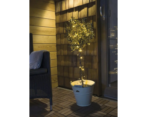 Olivier décoratif avec lumières dans un seau sur une terrasse