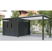 Abri de jardin avec auvent à l''extérieur
