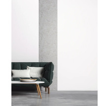 Salon avec canapé, coussins et table