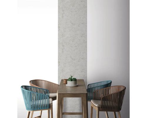 Scène avec table à manger et chaises devant un mur d''accent