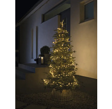 Arbre de Noël avec lumières à l''extérieur