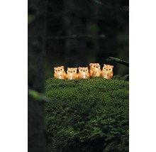 Cinq figurines décoratives de hiboux lumineux assis sur de la mousse.