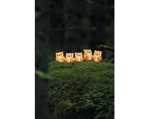 Cinq figurines décoratives de hiboux lumineux assis sur de la mousse.