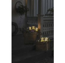 Dekorative Szene mit beleuchteten Kuhfiguren in Körben und Holzkisten auf einer Treppe.