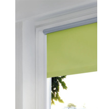 Grüne Fensterrollos im Fensterrahmen