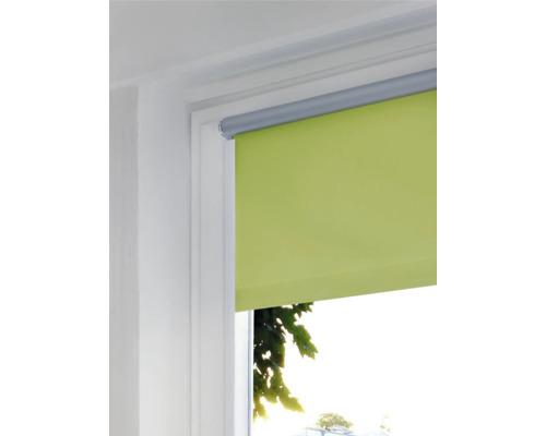 Grüne Fensterrollos im Fensterrahmen