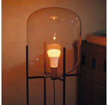 Lampadaire avec coupole en verre et lampe LED