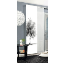 Schiebevorhang mit Birkenmotiv im Wohnraum.